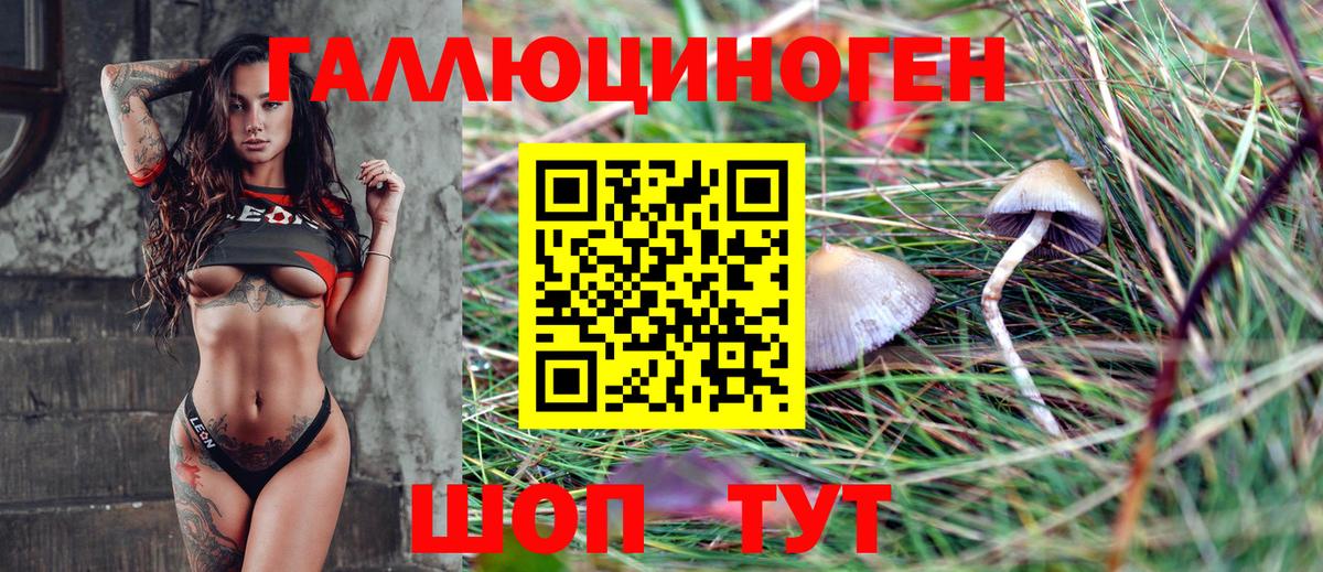 Гурьевск  Псилоцибиновые грибы Cubensis  Псилоцибиновые грибы Psilocybe  Вход с VPN 